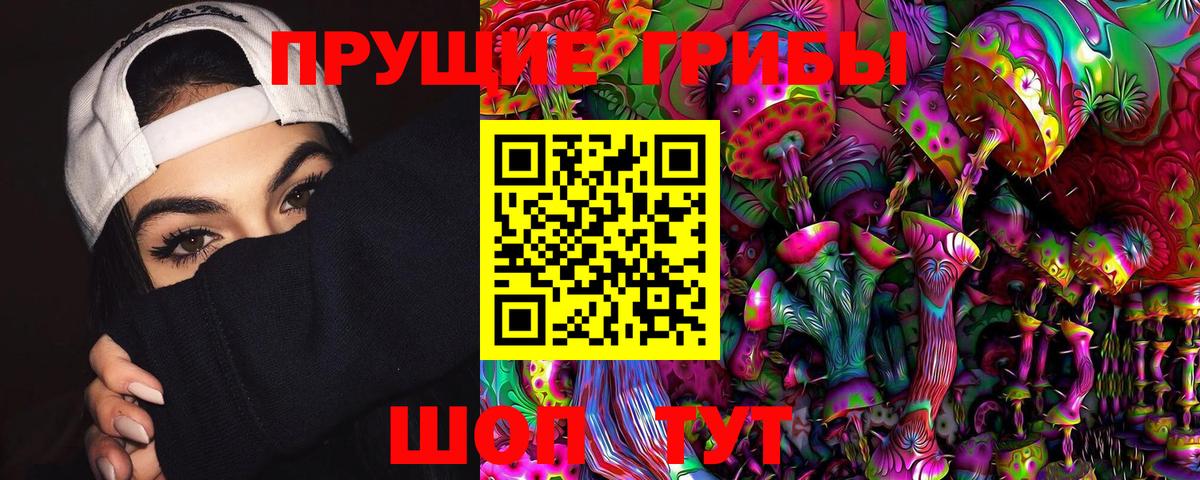 Псилоцибиновые грибы Psilocybe Нововоронеж